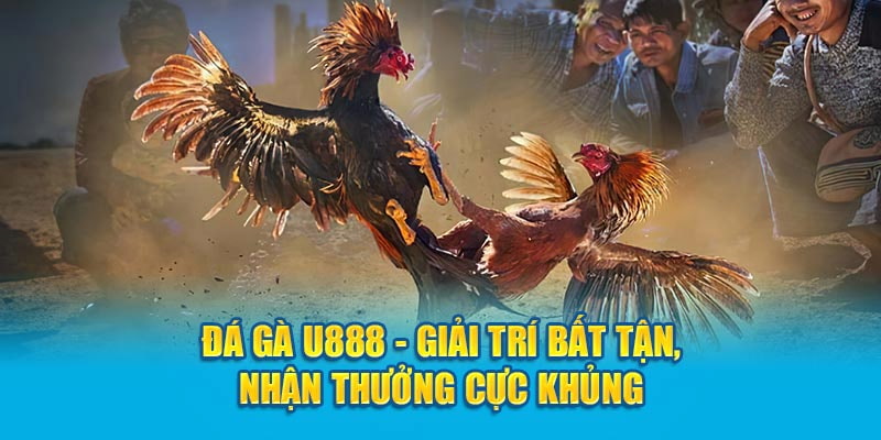 Ưu điểm vượt trội của sảnh game đã giữ chân được nhiều kê thủ